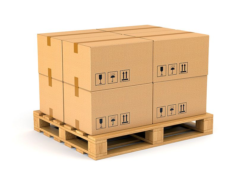Brambles' outlook takes a hit as pallet repairs are constrained